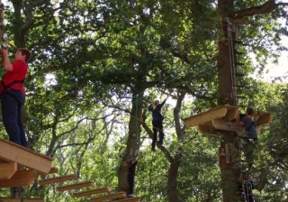  Tra gli alberi del parco